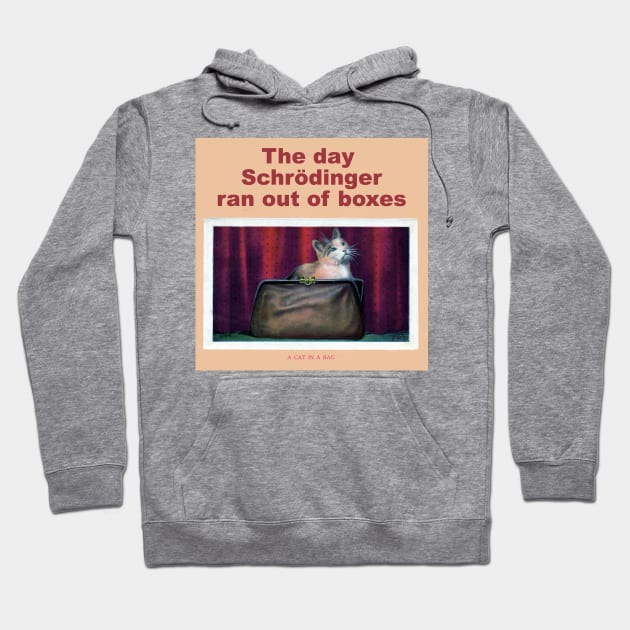 The day Schrödinger ran out of boxes Hoodie by Dizgraceland